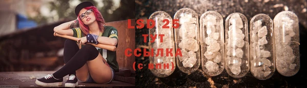 стафф Бородино
