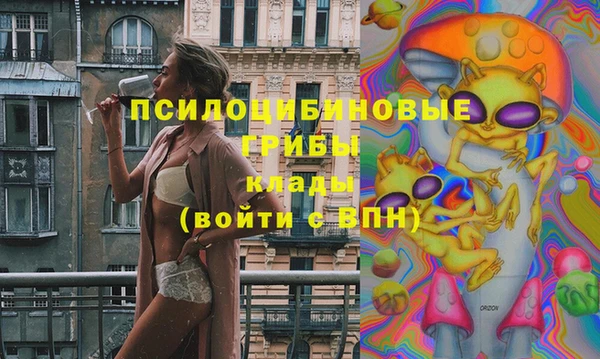 круглые Бронницы