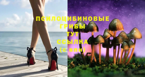 стафф Бородино